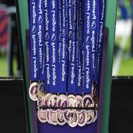 premier league medal for sale