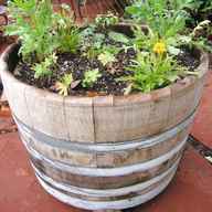 oak barrel garden planters for sale