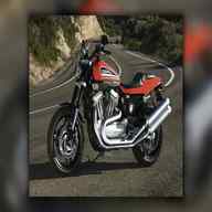 harley xr 1200 for sale