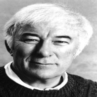 seamus heaney for sale