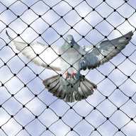 bird netting for sale