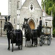 horse drawn hearse for sale