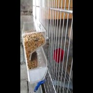 budgie seed hopper for sale
