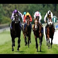 horse racing video for sale