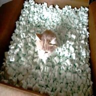 packing peanuts for sale