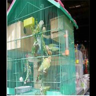 parrot bath for sale