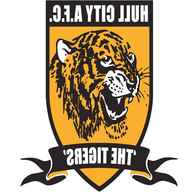 hull city badge for sale