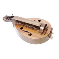 hurdy gurdy for sale