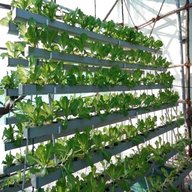 hydroponics systems for sale