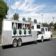 large horse trailers for sale