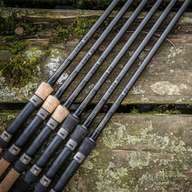 wychwood carp rods for sale