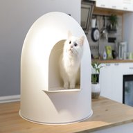 large cat igloo for sale