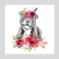 staffordshire bull terrier cards for sale