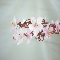 silk cherry blossom for sale
