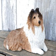 sandicast dog for sale