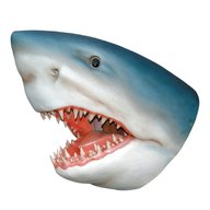 shark head for sale