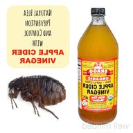 natural flea remedies for sale