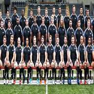 newcastle falcons for sale