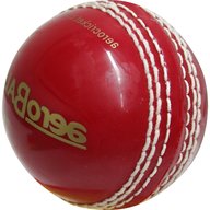 junior cricket balls for sale