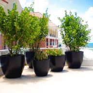extra large planters for sale