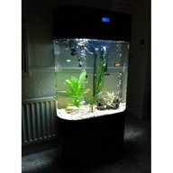 column fish tank for sale