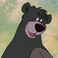 baloo bear for sale