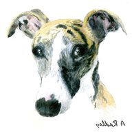 whippet paintings for sale