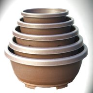 plastic bonsai pots for sale