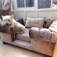 dog sofas for sale