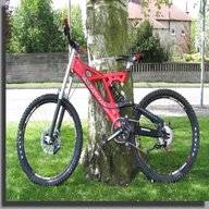 coyote dh3 for sale