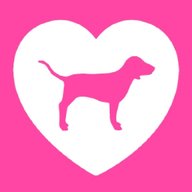 victorias secret pink dog for sale