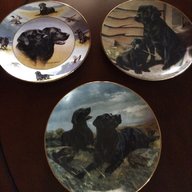 labrador plates for sale