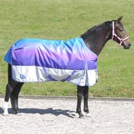 masta horse rugs for sale