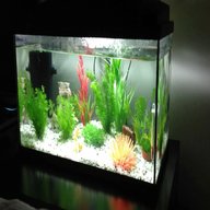 50 litre fish tank for sale