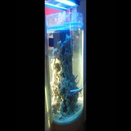 cylinder aquarium for sale