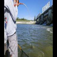 dam fishing for sale