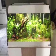 eheim aquarium for sale