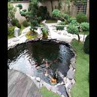 garden fish ponds for sale