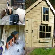 guinea pig house for sale