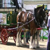 horse drawn dray for sale