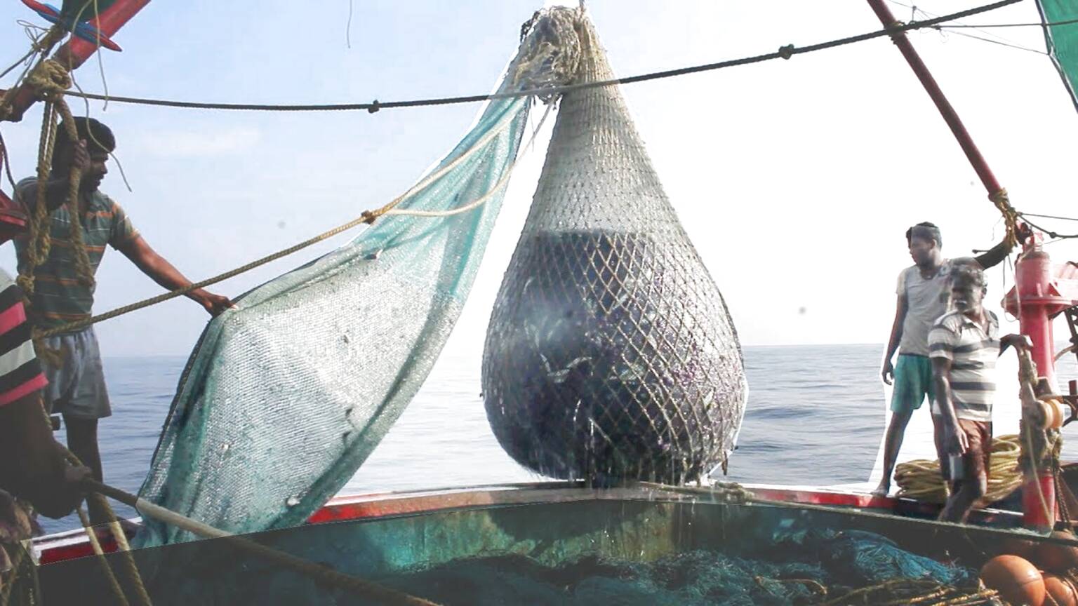 Large Fishing Nets for sale in UK | 62 used Large Fishing Nets