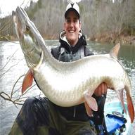 muskie for sale