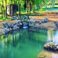 pond clear water for sale