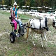 pony driving carts for sale