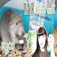 rat toys for sale