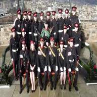 regiment royal artillery for sale