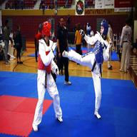 taekwondo sparring for sale