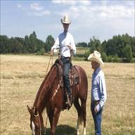 western reins for sale