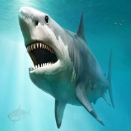 megalodon shark for sale