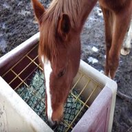slow feeder horse hay for sale